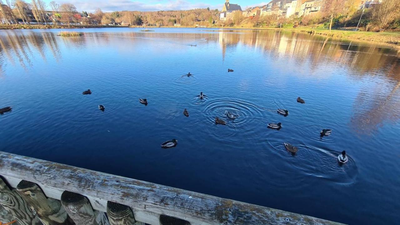 Le Salmoyard, Studio Au Bord Du Lac A Vielsalm Eksteriør billede